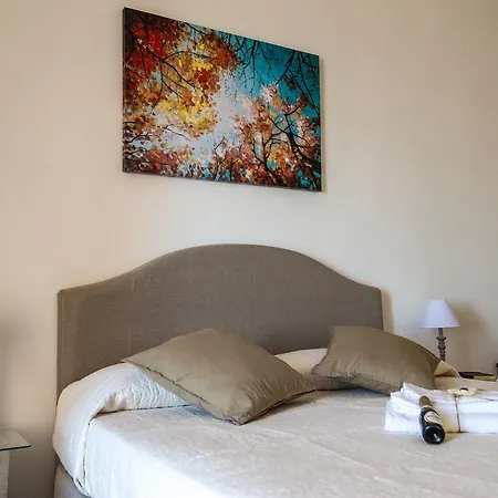 Assabinidica 3* Агридженто